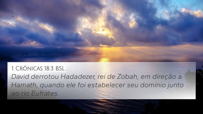 1 Crônicas 18:3 BSL Bible Verse Image