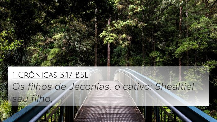 1 Crônicas 3:17 BSL Bible Verse Image