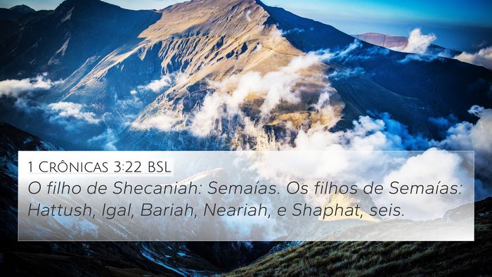 1 Crônicas 3:22 BSL Bible Verse Image