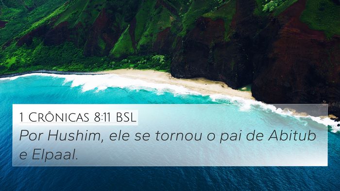 1 Crônicas 8:11 BSL 4K Wallpaper - Por Hushim, ele se tornou o pai de Abitub e - 4K Wallpaper Bible Verse