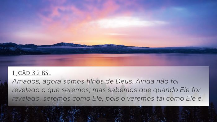 1 João 3:2 BSL Bible Verse Image