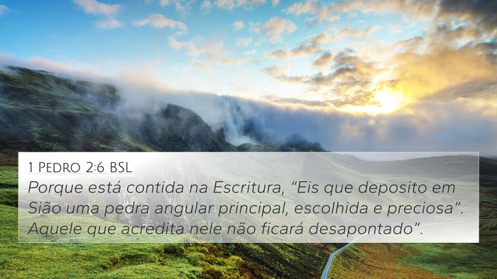 1 Pedro 2:6 BSL Bible Verse Image