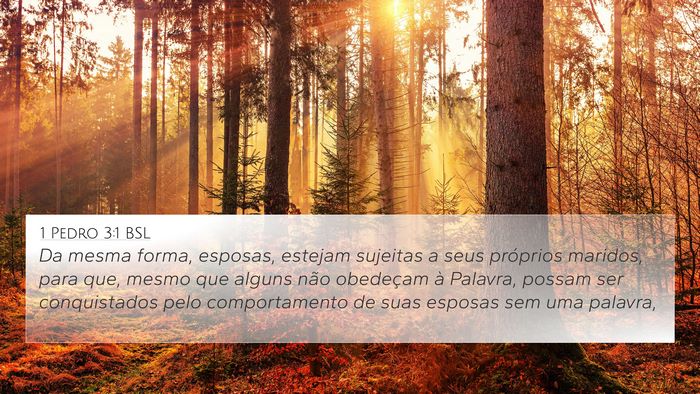 1 Pedro 3:1 BSL 4K Wallpaper - Da mesma forma, esposas, estejam sujeitas a seus - 4K Wallpaper Bible Verse