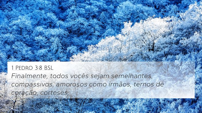 1 Pedro 3:8 BSL Bible Verse Image