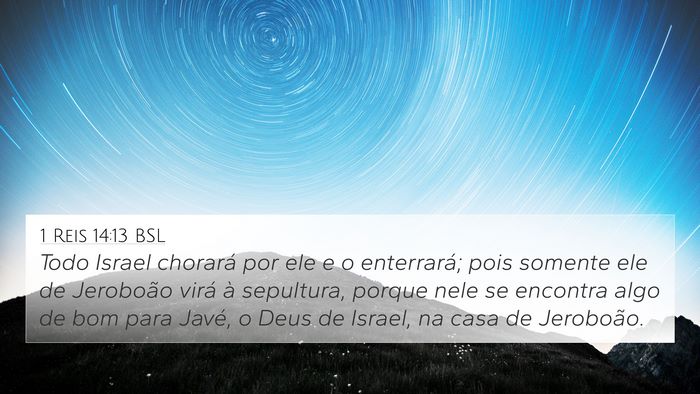 1 Reis 14:13 BSL Bible Verse Image