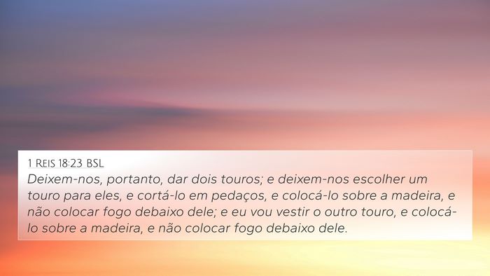 1 Reis 18:23 BSL Bible Verse Image