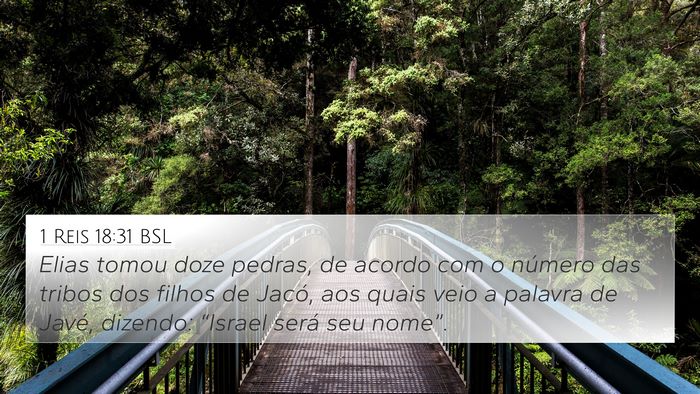 1 Reis 18:31 BSL Bible Verse Image