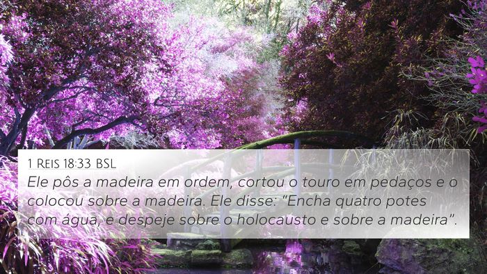 1 Reis 18:33 BSL Bible Verse Image