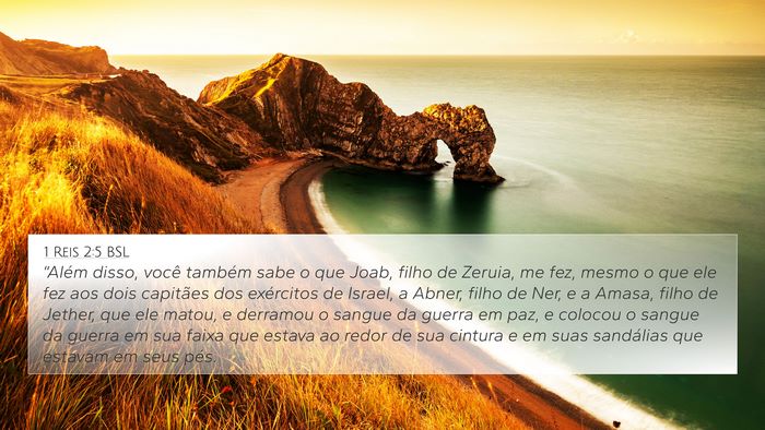 1 Reis 2:5 BSL Bible Verse Image