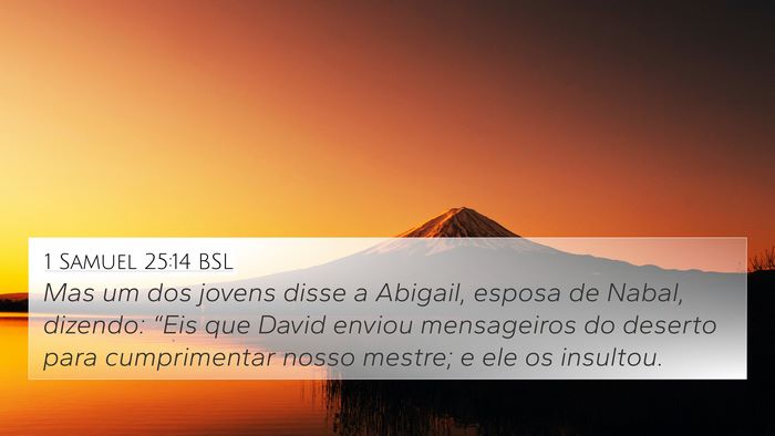 1 Samuel 25:14 BSL Bible Verse Image