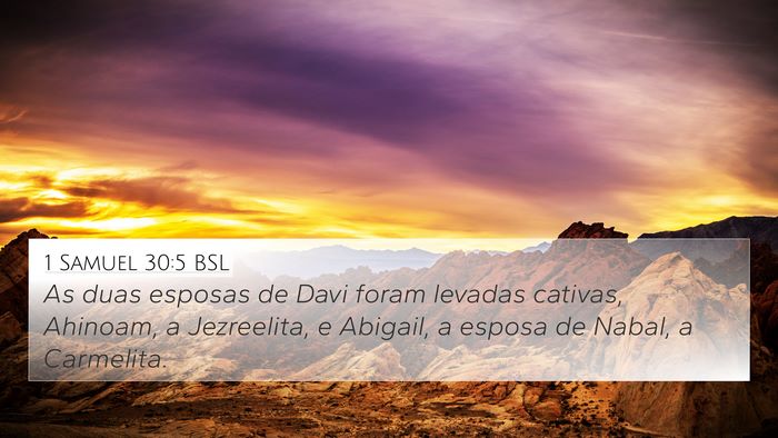 1 Samuel 30:5 BSL Bible Verse Image