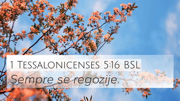 1 Tessalonicenses 5:16 BSL Bible Verse Image