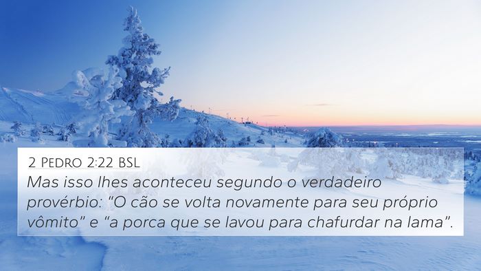2 Pedro 2:22 BSL Bible Verse Image