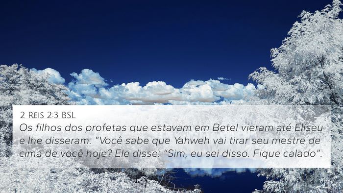 2 Reis 2:3 BSL Bible Verse Image
