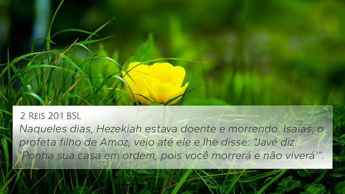 2 Reis 20:1 BSL Bible Verse Image