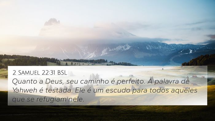 2 Samuel 22:31 BSL Bible Verse Image