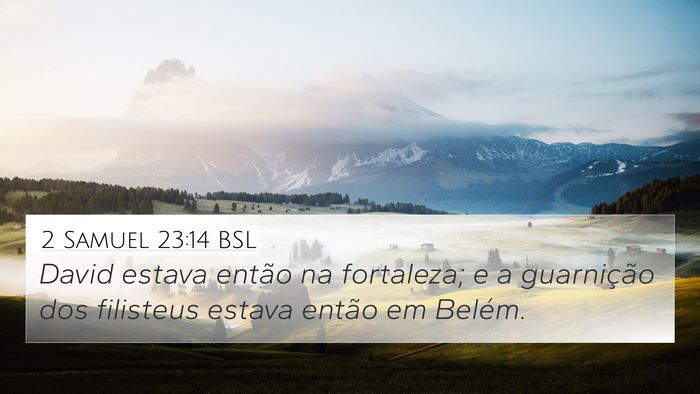 2 Samuel 23:14 BSL Bible Verse Image