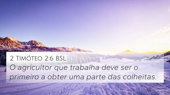 2 Timóteo 2:6 BSL 4K Wallpaper - O agricultor que trabalha deve ser o primeiro a - 4K Wallpaper Bible Verse