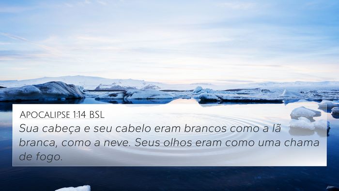 Apocalipse 1:14 BSL 4K Wallpaper - Sua cabeça e seu cabelo eram brancos como a lã - 4K Wallpaper Bible Verse