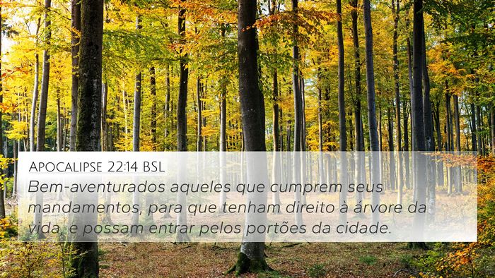 Apocalipse 22:14 BSL Bible Verse Image