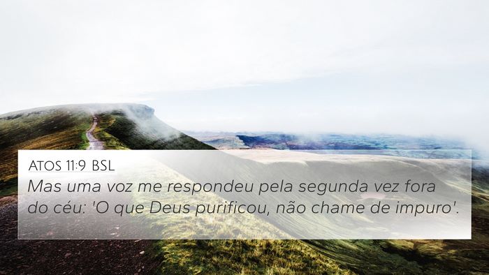 Atos 11:9 BSL Bible Verse Image