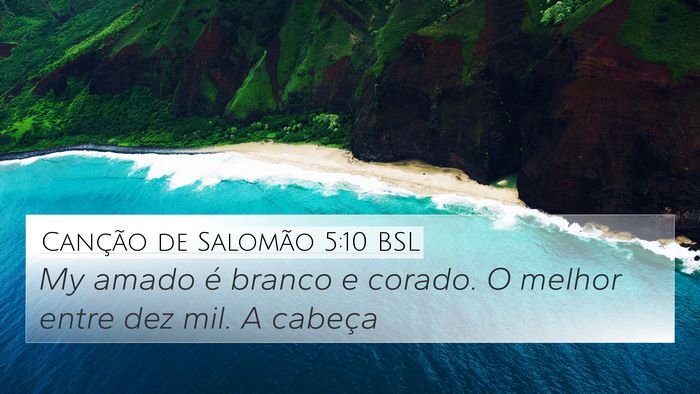 Canção de Salomão 5:10 BSL Bible Verse Image