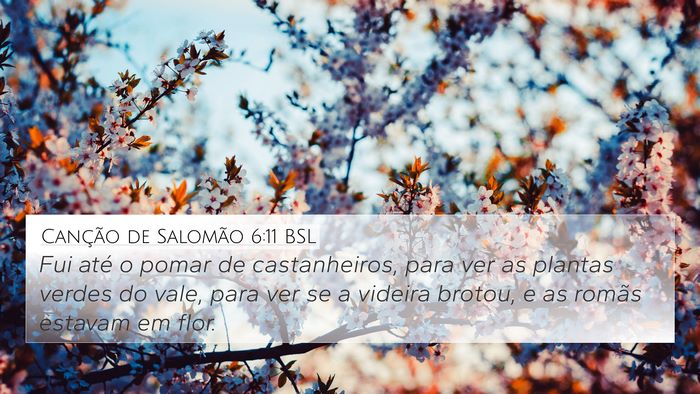 Canção de Salomão 6:11 BSL Bible Verse Image