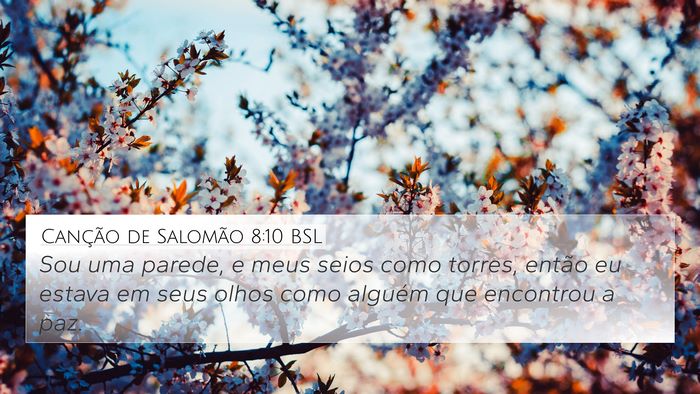 Canção de Salomão 8:10 BSL Bible Verse Image
