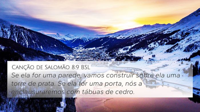 Canção de Salomão 8:9 BSL Bible Verse Image