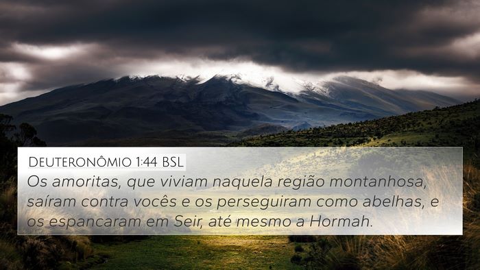 Deuteronômio 1:44 BSL Bible Verse Image