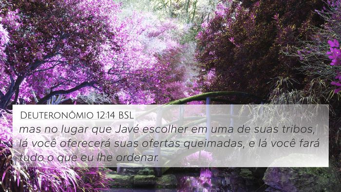 Deuteronômio 12:14 BSL Bible Verse Image
