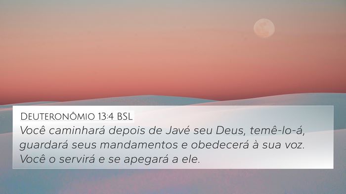 Deuteronômio 13:4 BSL Bible Verse Image