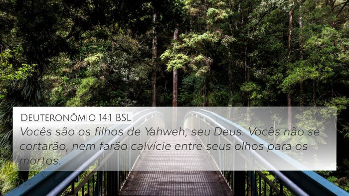 Deuteronômio 14:1 BSL Bible Verse Image