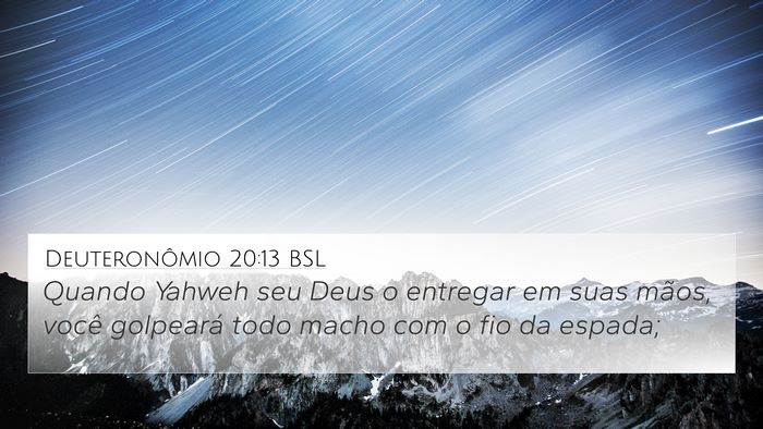 Deuteronômio 20:13 BSL Bible Verse Image