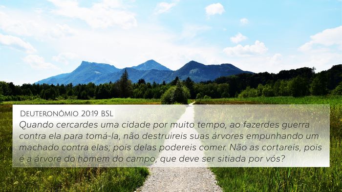 Deuteronômio 20:19 BSL Bible Verse Image