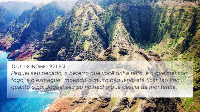 Deuteronômio 9:21 BSL Bible Verse Image