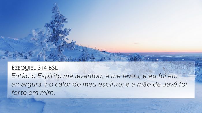 Ezequiel 3:14 BSL Bible Verse Image