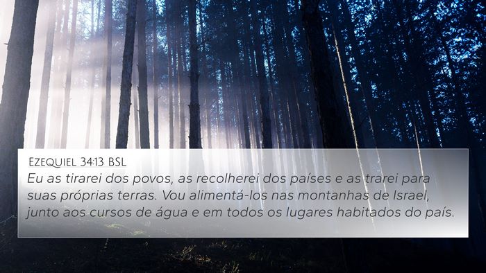 Ezequiel 34:13 BSL Bible Verse Image