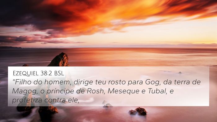 Ezequiel 38:2 BSL Bible Verse Image