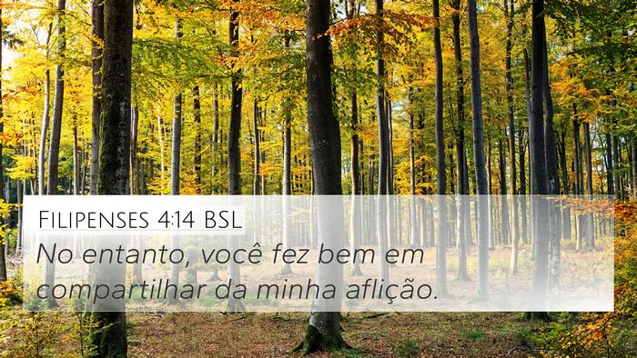 Filipenses 4:14 BSL Bible Verse Image