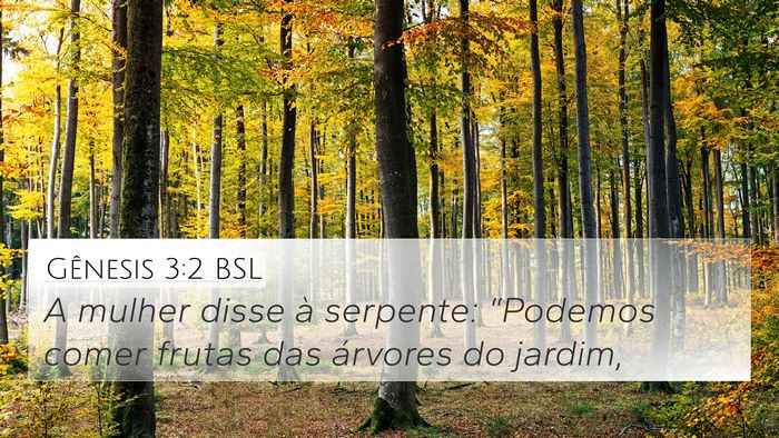 Gênesis 3:2 BSL 4K Wallpaper - A mulher disse à serpente: “Podemos comer - 4K Wallpaper Bible Verse