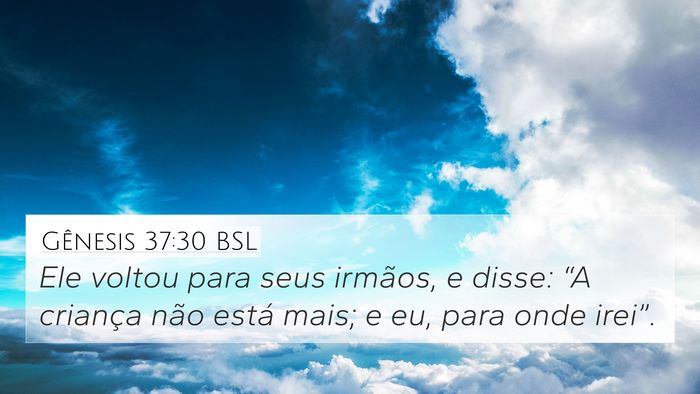 Gênesis 37:30 BSL Bible Verse Image