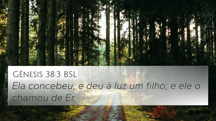 Gênesis 38:3 BSL 4K Wallpaper - Ela concebeu, e deu à luz um filho; e ele o - 4K Wallpaper Bible Verse