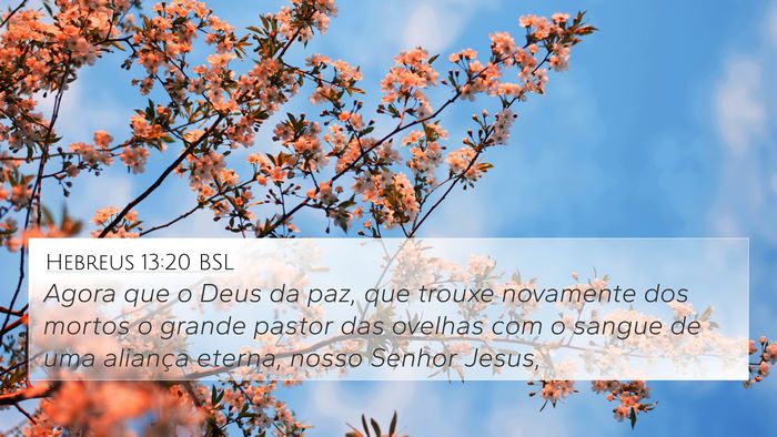 Hebreus 13:20 BSL Bible Verse Image