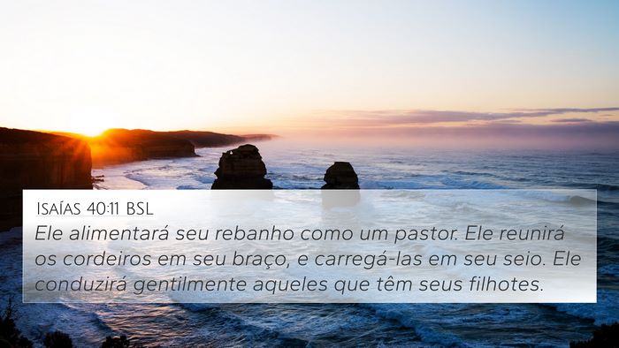 Isaías 40:11 BSL Bible Verse Image
