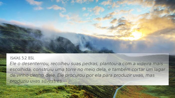 Isaías 5:2 BSL Bible Verse Image