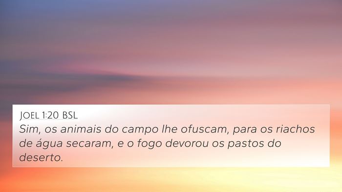 Joel 1:20 BSL Bible Verse Image