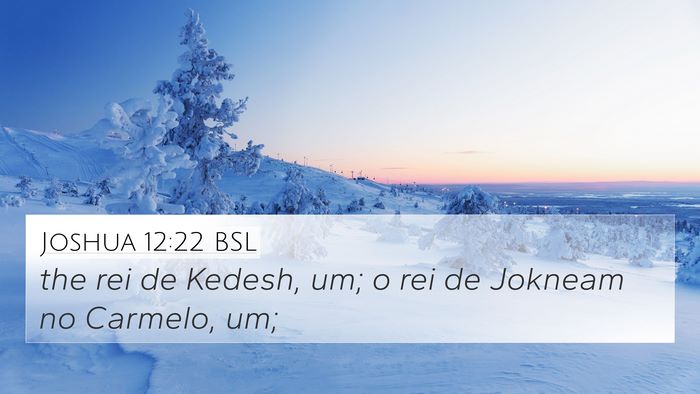 Joshua 12:22 BSL Bible Verse Image