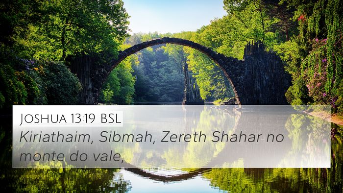 Joshua 13:19 BSL Bible Verse Image