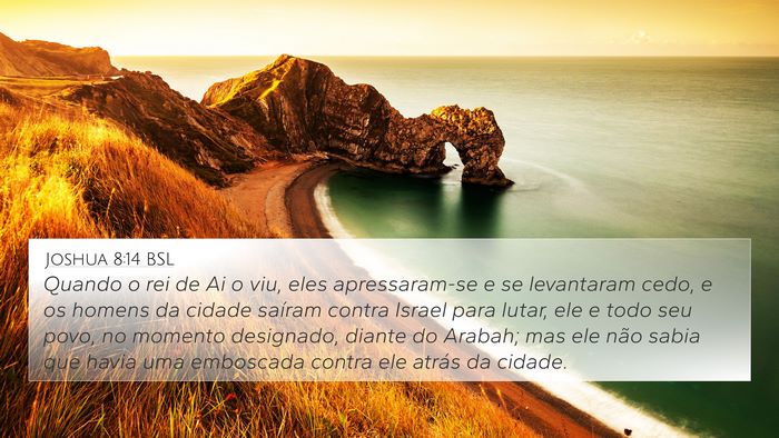 Joshua 8:14 BSL Bible Verse Image